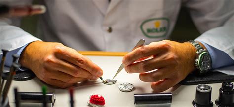 fratelli gallo rolex cosenza